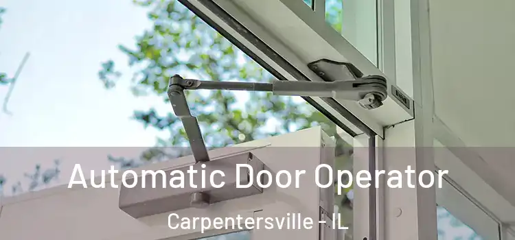 Automatic Door Operator Carpentersville - IL