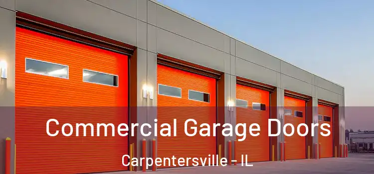  Commercial Garage Doors Carpentersville - IL