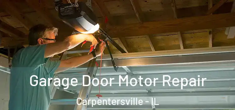  Garage Door Motor Repair Carpentersville - IL