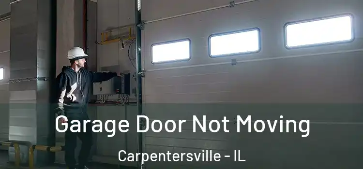  Garage Door Not Moving Carpentersville - IL