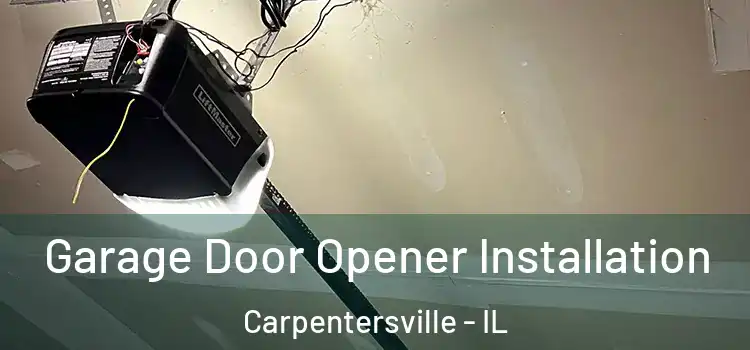  Garage Door Opener Installation Carpentersville - IL