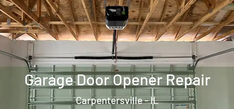  Garage Door Opener Repair Carpentersville - IL