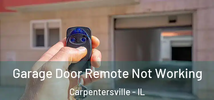  Garage Door Remote Not Working Carpentersville - IL
