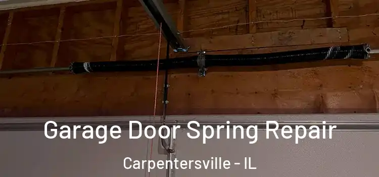  Garage Door Spring Repair Carpentersville - IL