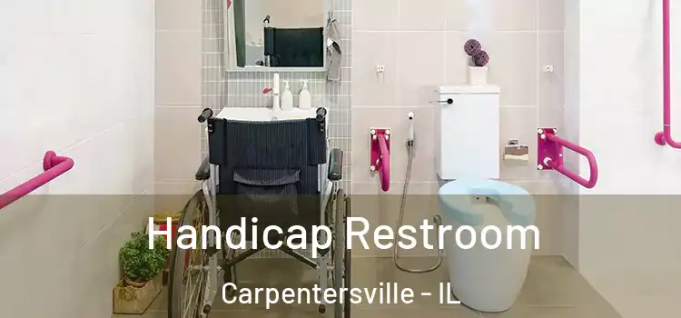  Handicap Restroom Carpentersville - IL