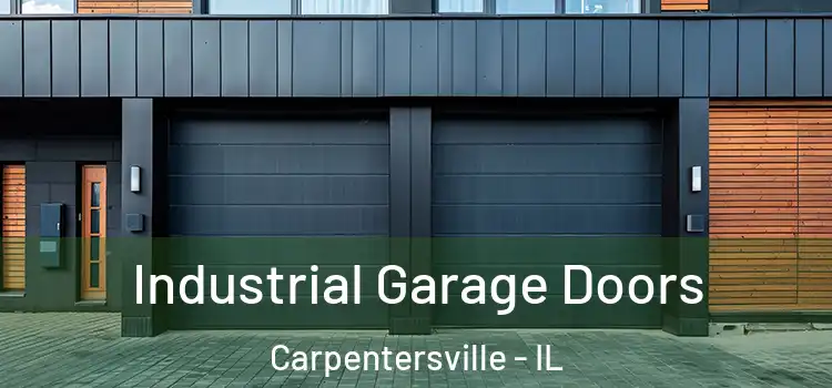  Industrial Garage Doors Carpentersville - IL