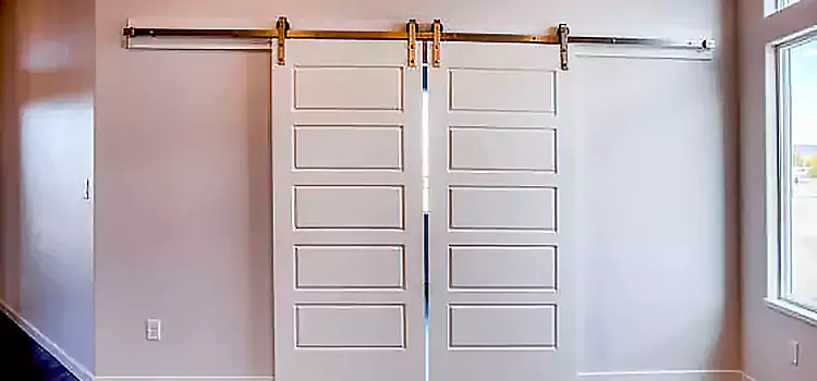 Glass Barn Door with Installation Hardware Kit Carpentersville