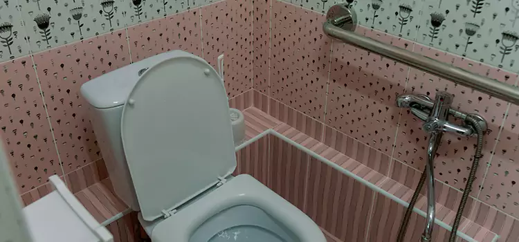 Meeting Diverse Needs With Accessible Restroom Solutions in Carpentersville, IL