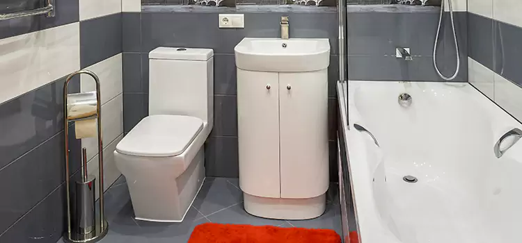 Hansgrohe Shaving Mirror Carpentersville