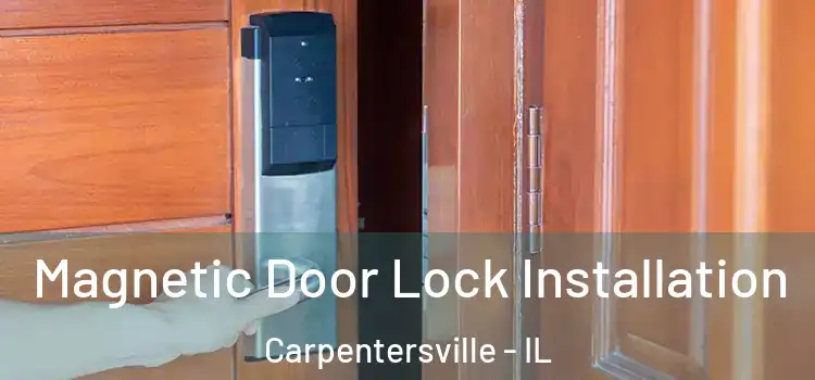  Magnetic Door Lock Installation Carpentersville - IL
