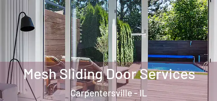  Mesh Sliding Door Services Carpentersville - IL