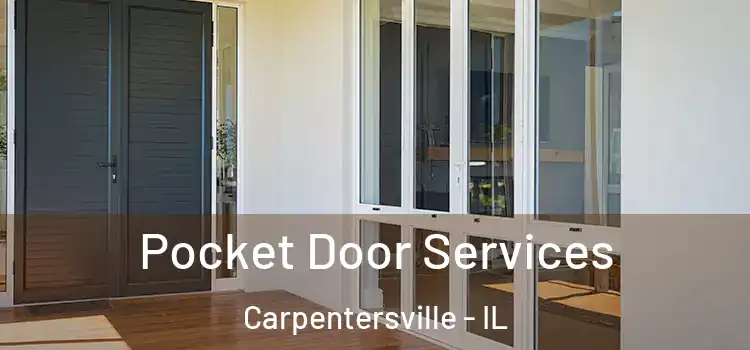  Pocket Door Services Carpentersville - IL