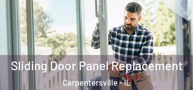 Sliding Door Panel Replacement Carpentersville - IL
