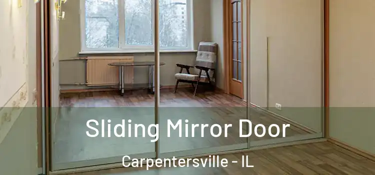  Sliding Mirror Door Carpentersville - IL