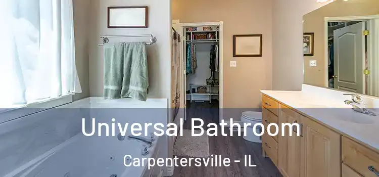  Universal Bathroom Carpentersville - IL